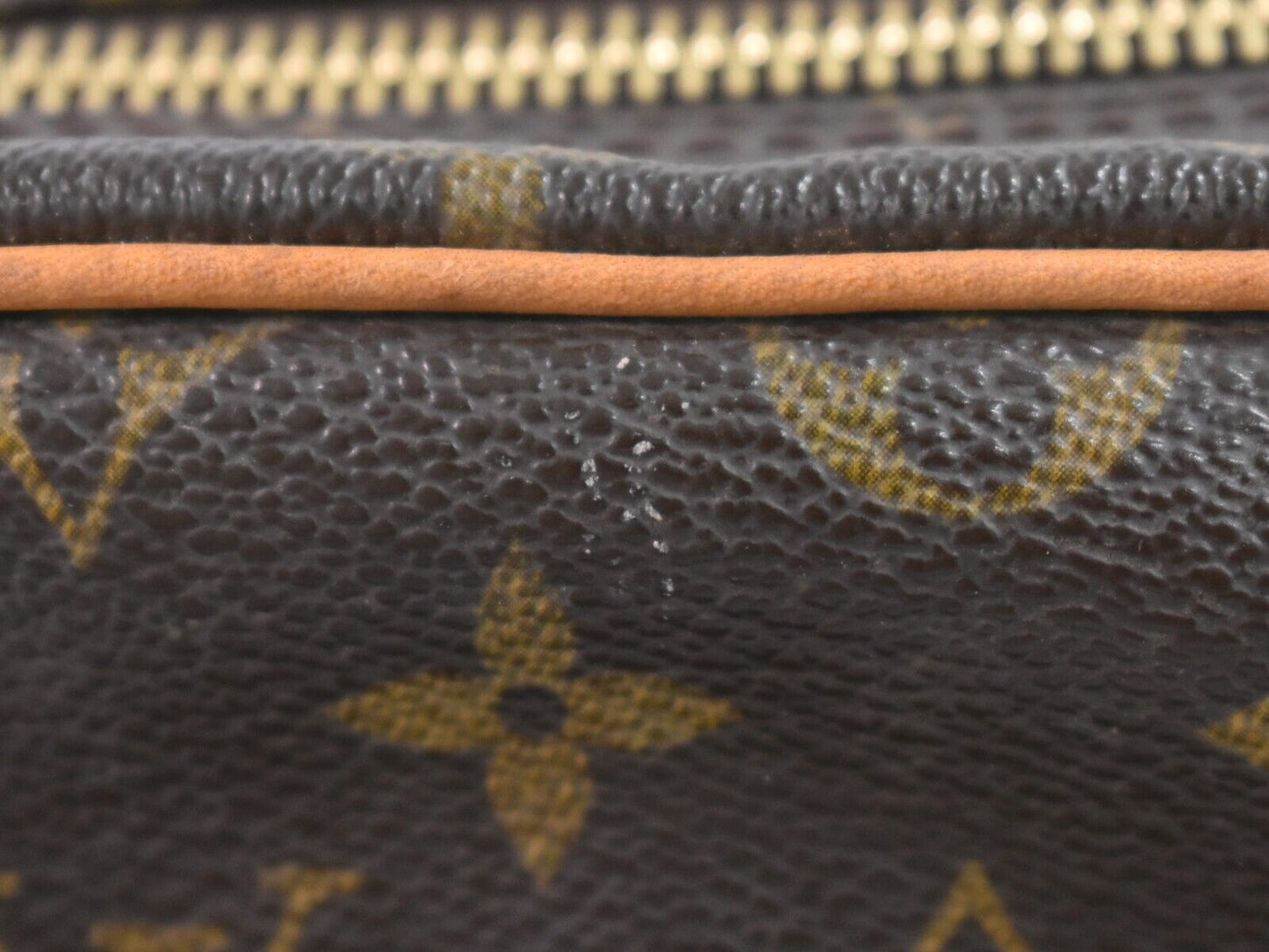 Louis Vuitton Amazon Handbag