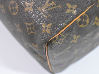 Louis Vuitton Speedy 30 Handbag