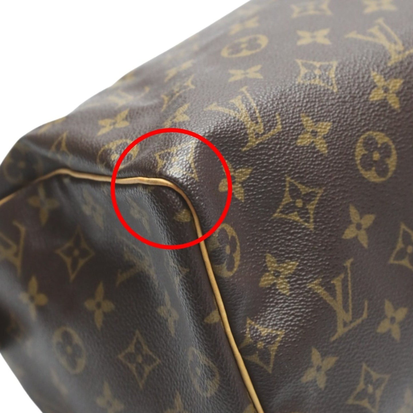 Louis Vuitton Speedy 25 Handbag