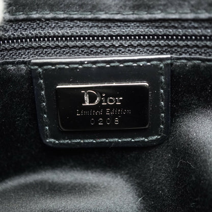 Dior Saddle Shoulder Bag