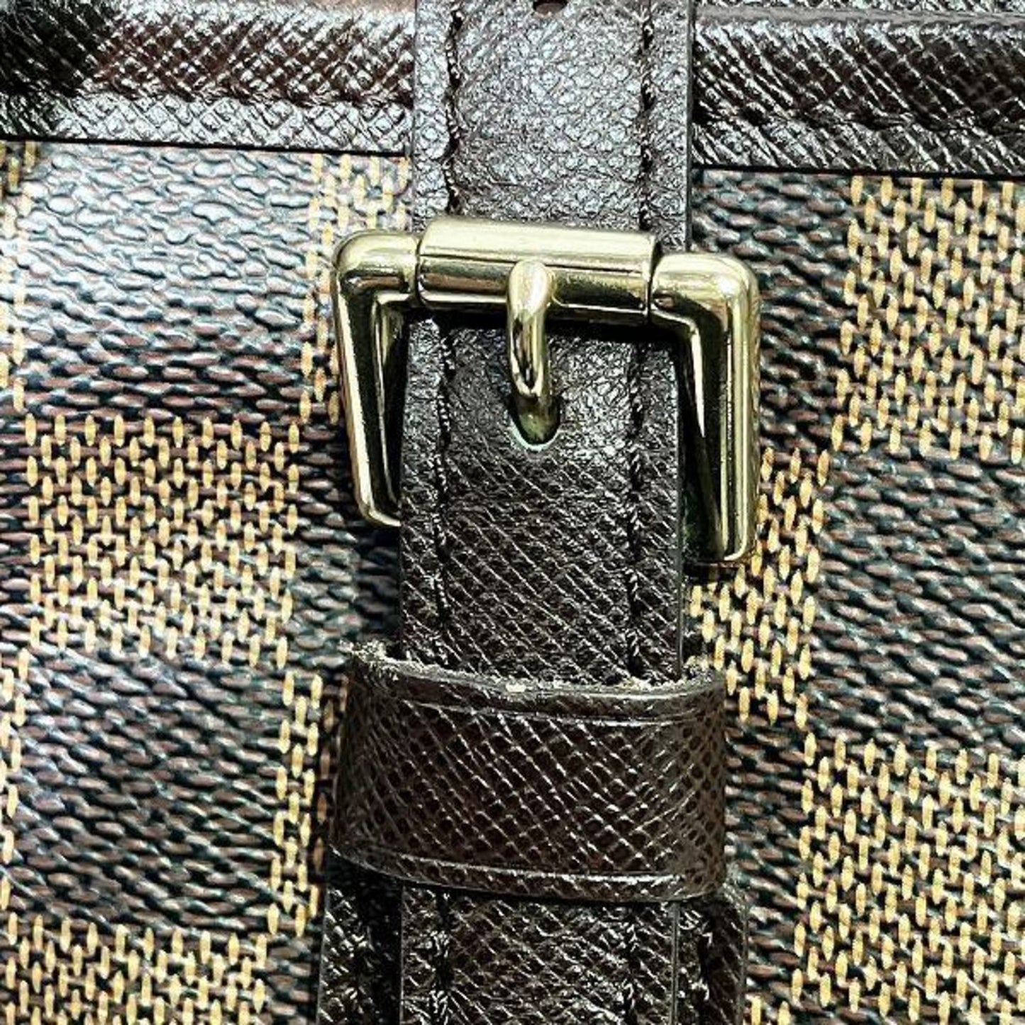 Louis Vuitton Bucket PM Tote Bag