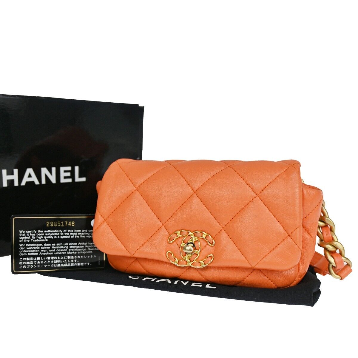 Chanel Chanel 19 Shoulder Bag