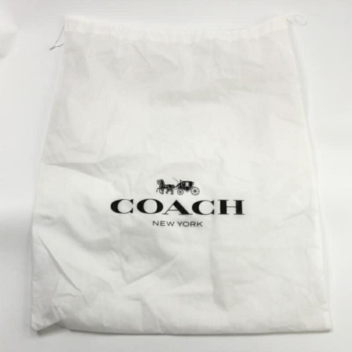 Coach Signature Backpack