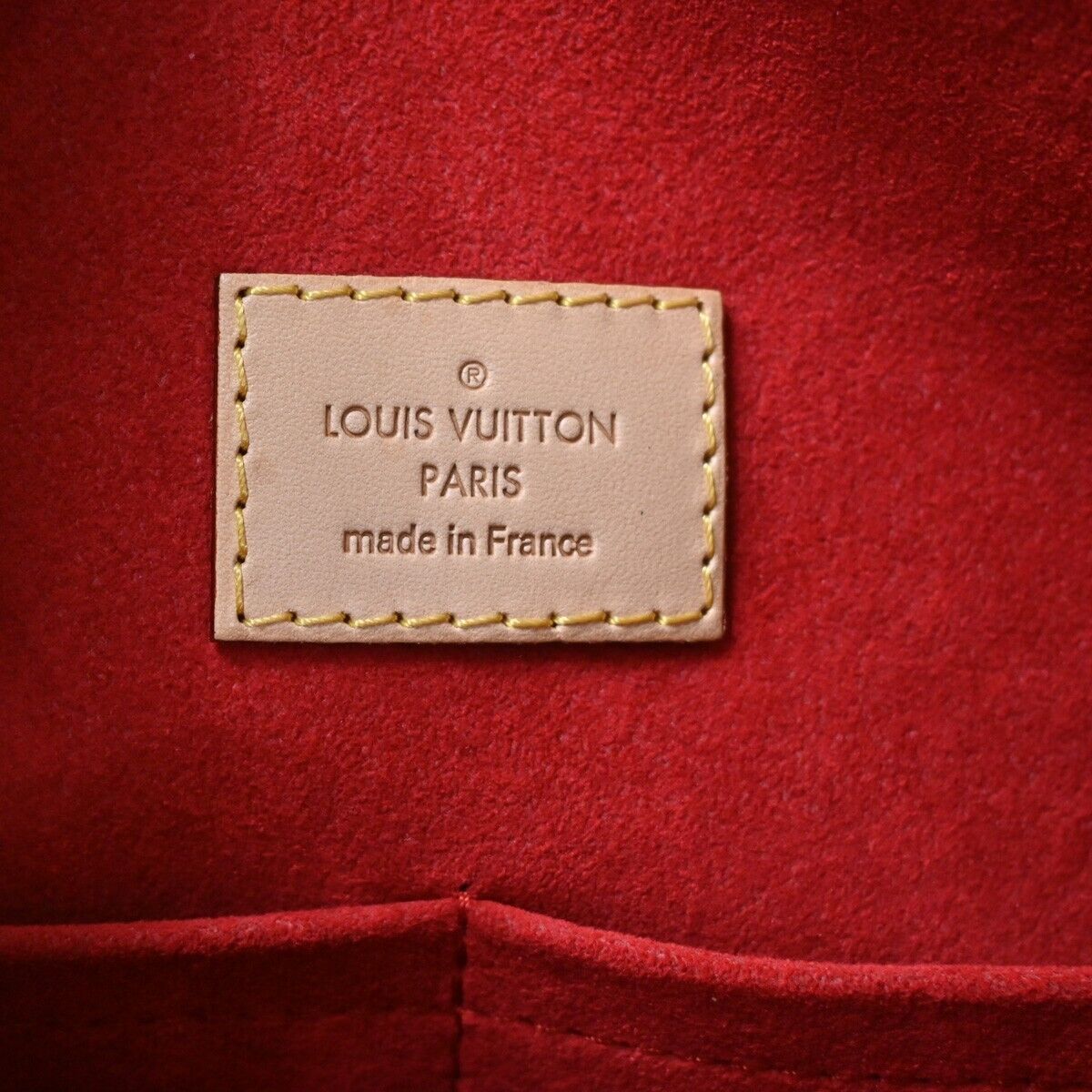 Louis Vuitton Gaia Handbag