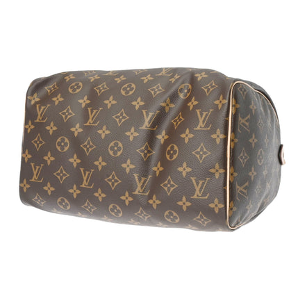 Louis Vuitton Speedy 30 handbag