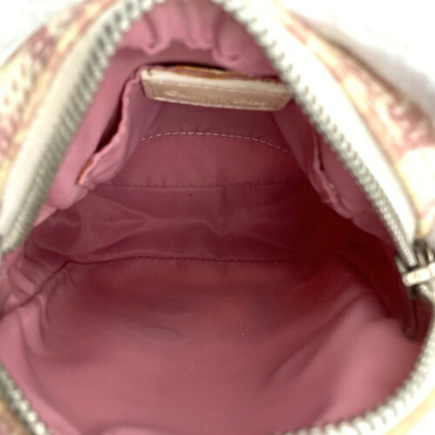 Dior Saddle Shopper Bag