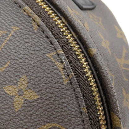 Louis Vuitton Palm Springs Backpack