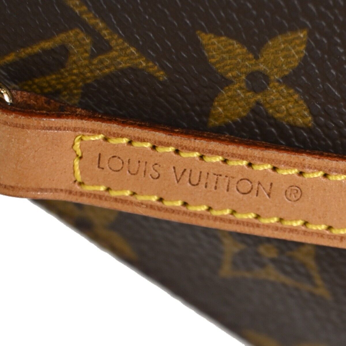 Louis Vuitton Pochette accessoires Clutch