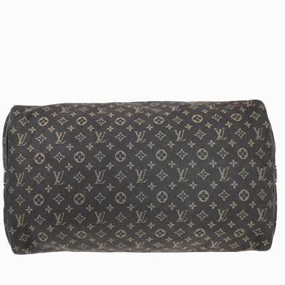 Louis Vuitton Speedy Handbag