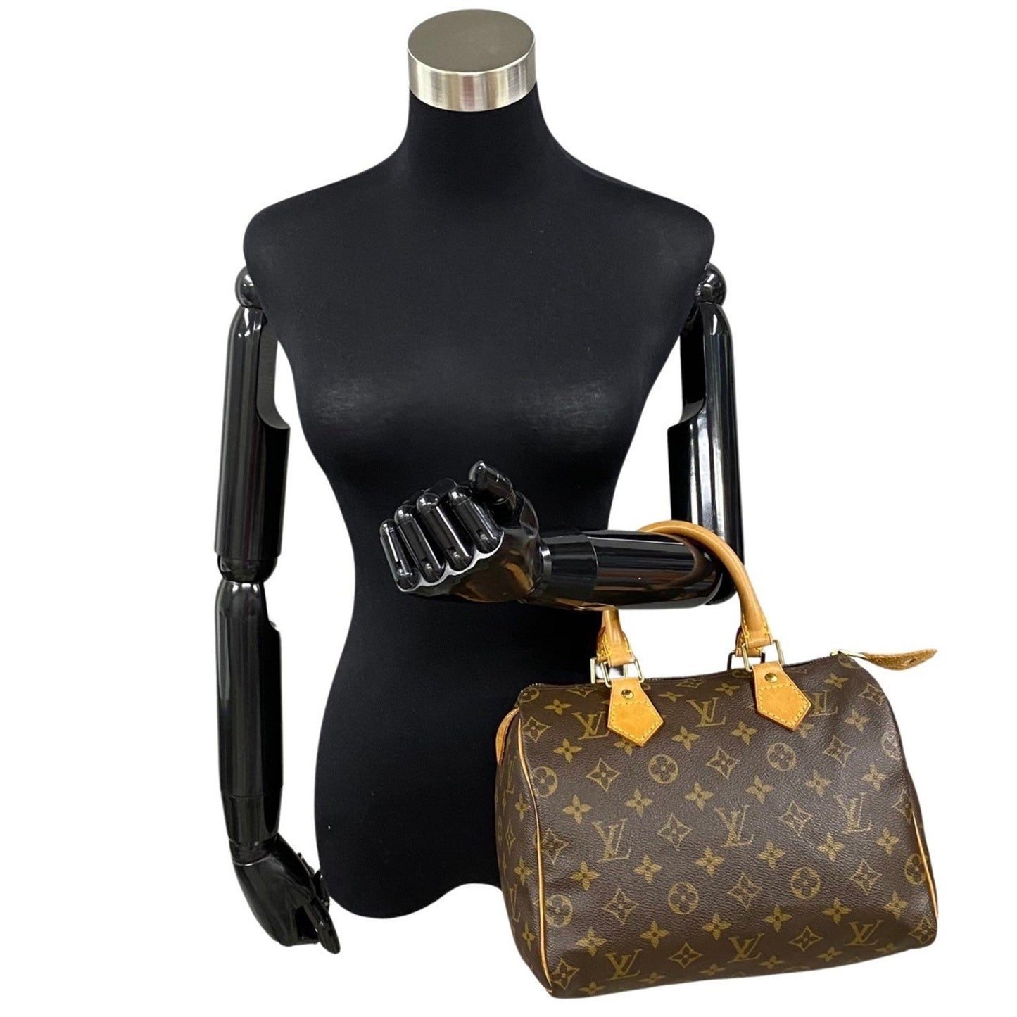 Louis Vuitton Speedy 25 Handbag