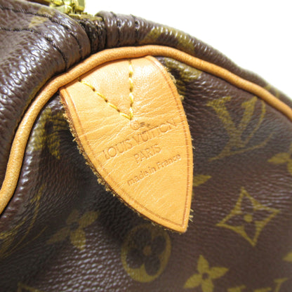 Louis Vuitton Speedy 30 handbag