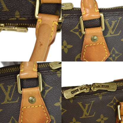 Louis Vuitton Alma Handbag