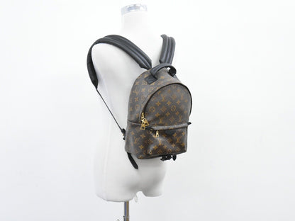 Louis Vuitton Palm Springs Backpack