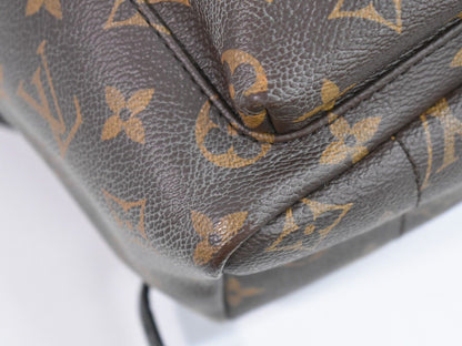 Louis Vuitton Palm Springs Backpack