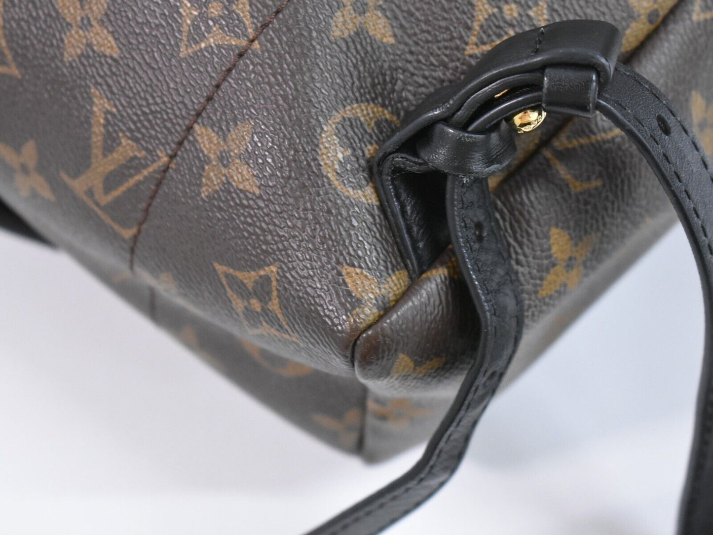 Louis Vuitton Palm Springs Backpack