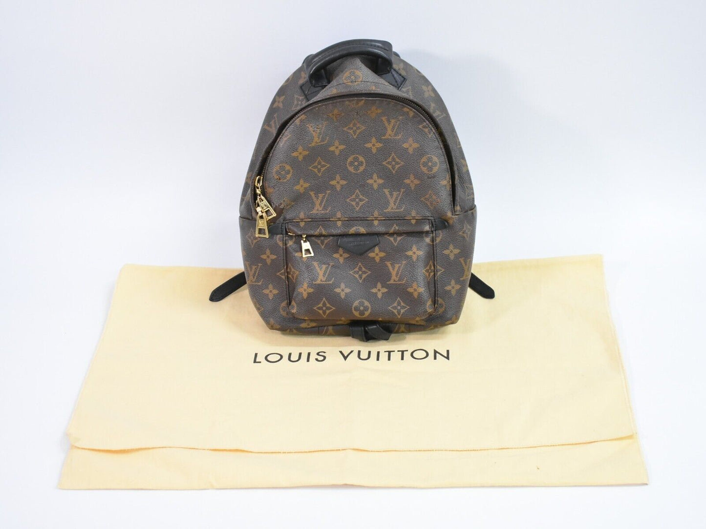 Louis Vuitton Palm Springs Backpack