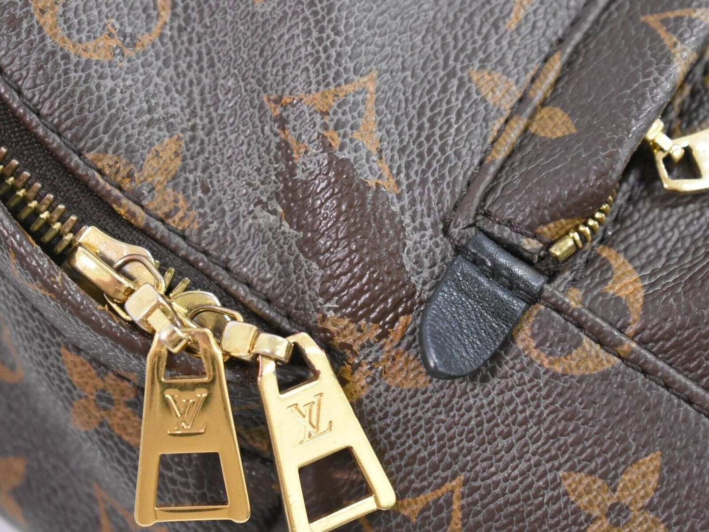 Louis Vuitton Palm Springs Backpack