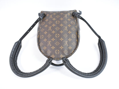 Louis Vuitton Palm Springs Backpack