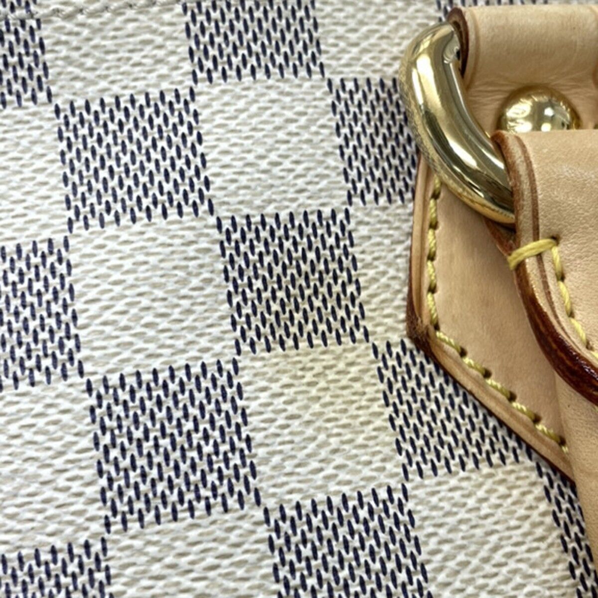 Louis Vuitton Saleya Handbag