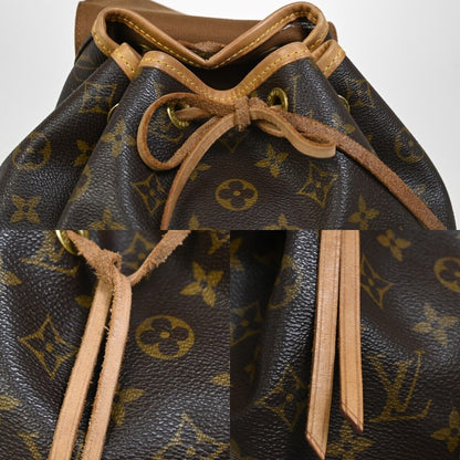 Louis Vuitton Montsouris MM Backpack