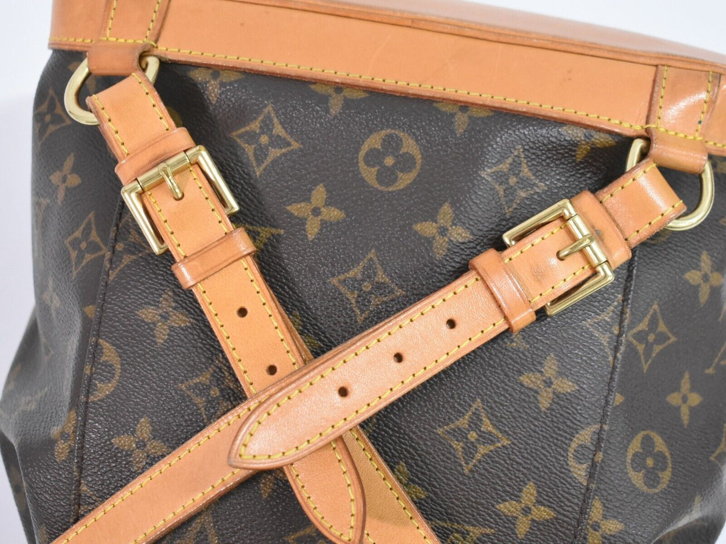 Louis Vuitton Montsouris MM Backpack