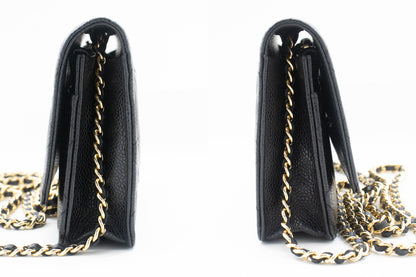 Chanel Wallet On Chain Shoulder Bag