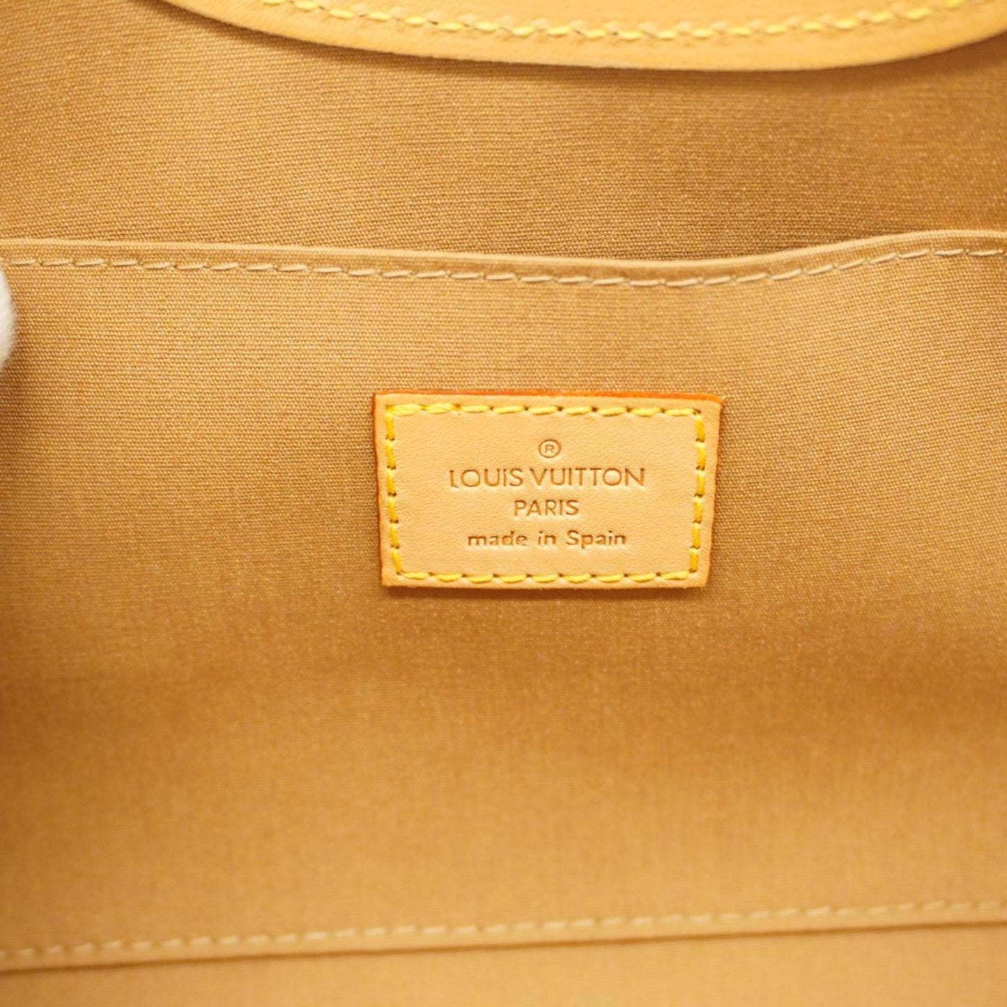 Louis Vuitton Roxbury handbag