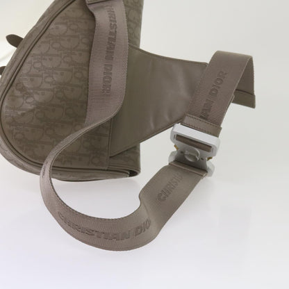 Dior Saddle Shoulder Bag