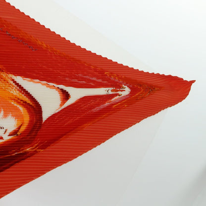 Hermès Scarf