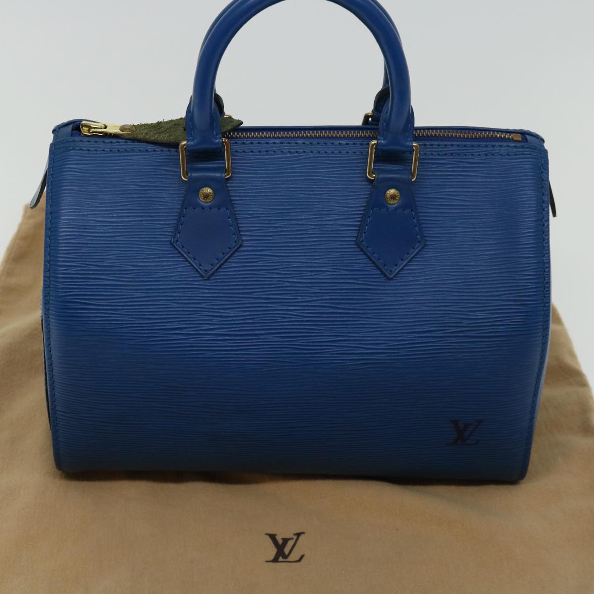 Louis Vuitton Speedy 25 handbag