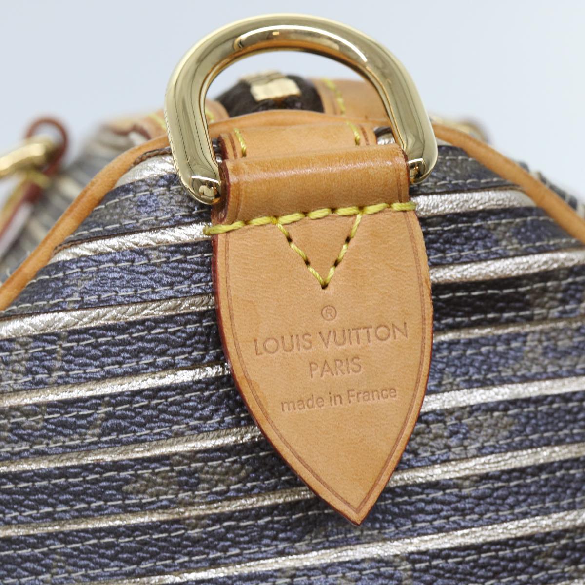 Louis Vuitton Speedy Handbag