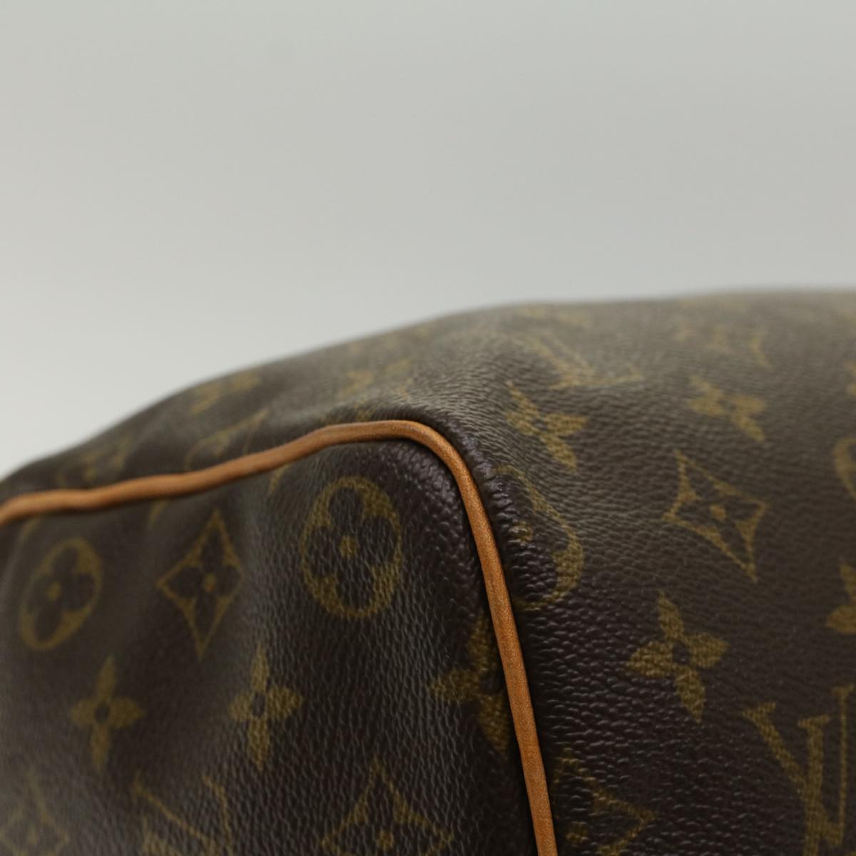 Louis Vuitton Speedy Handbag