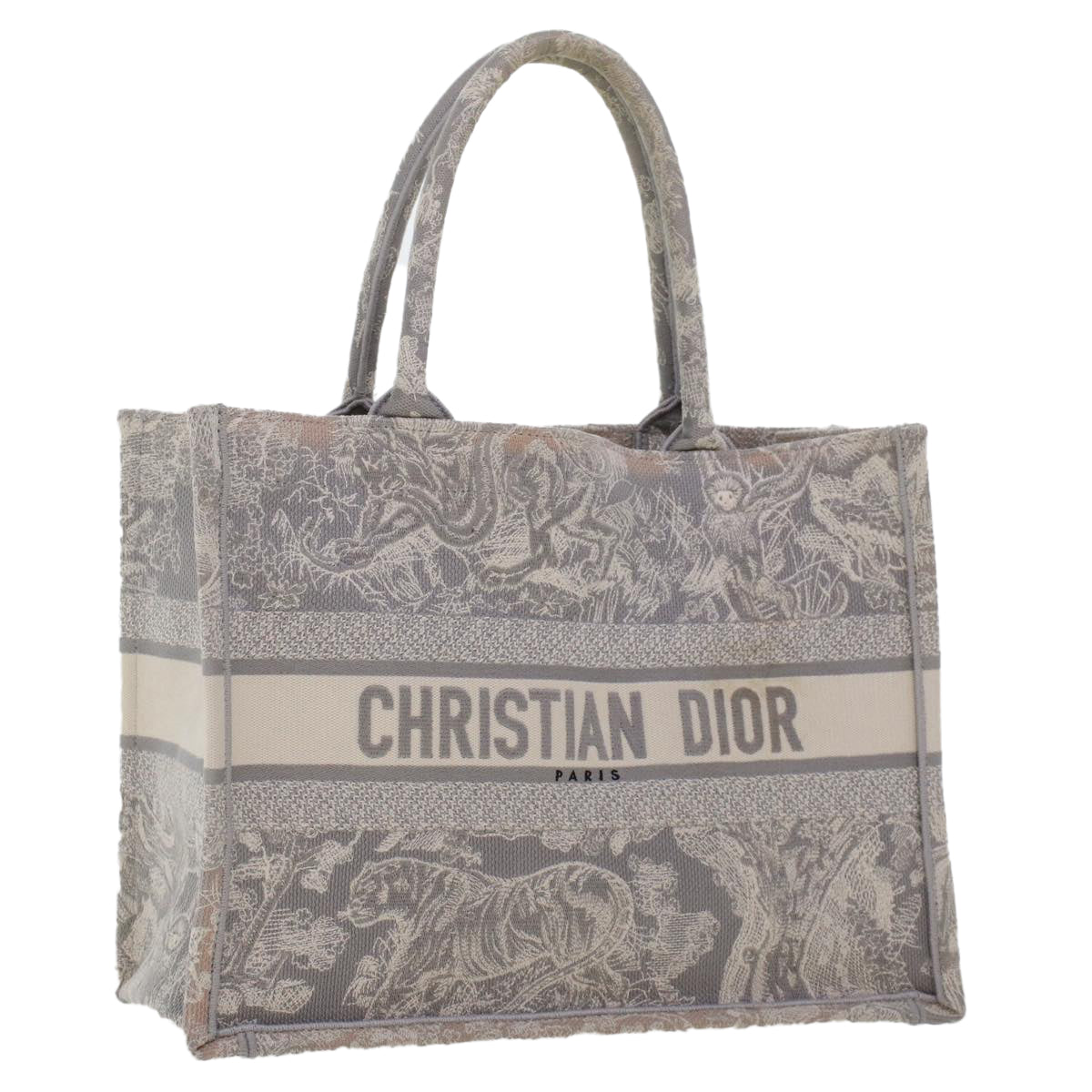 Dior Book Tote Tote Bag