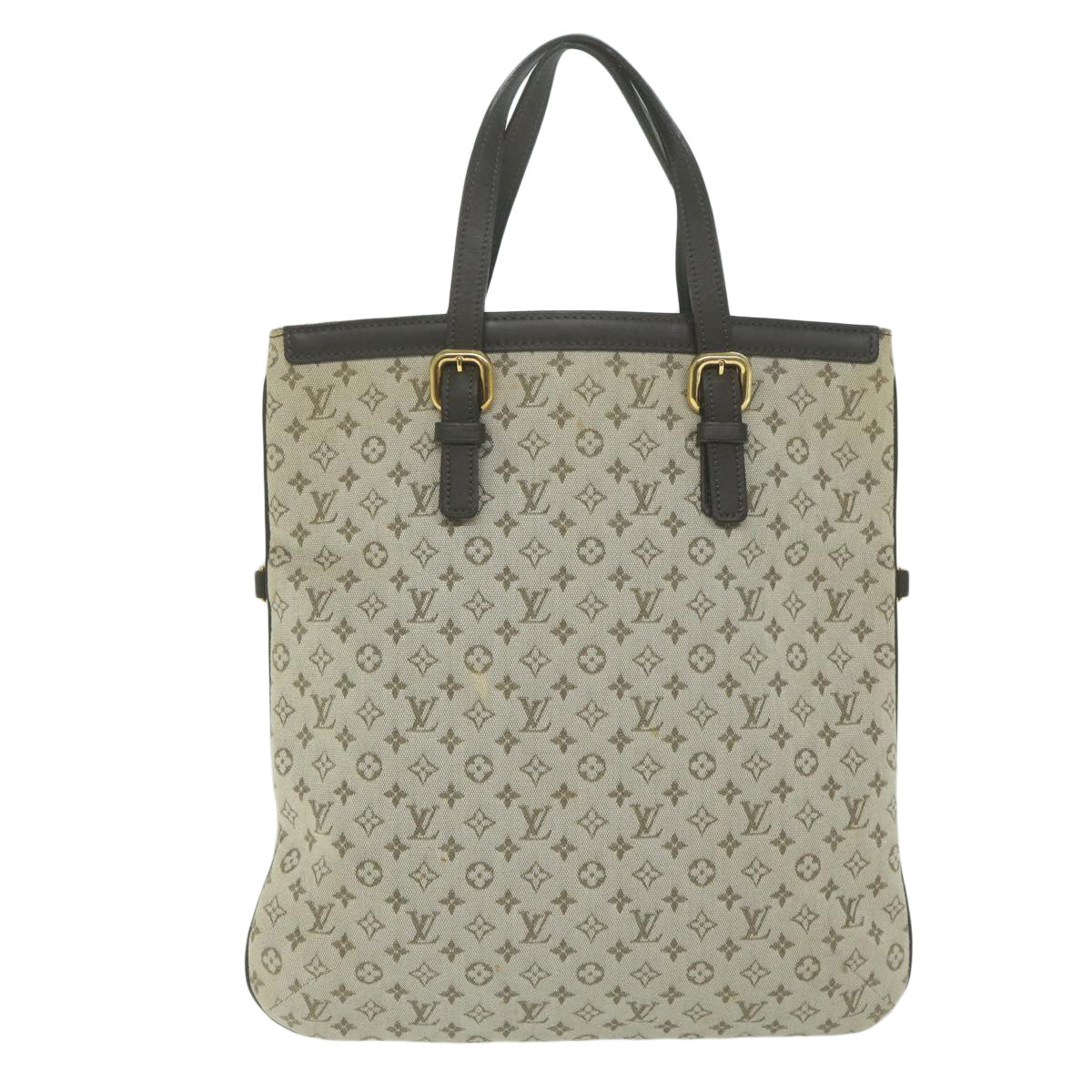 Louis Vuitton Françoise handbag