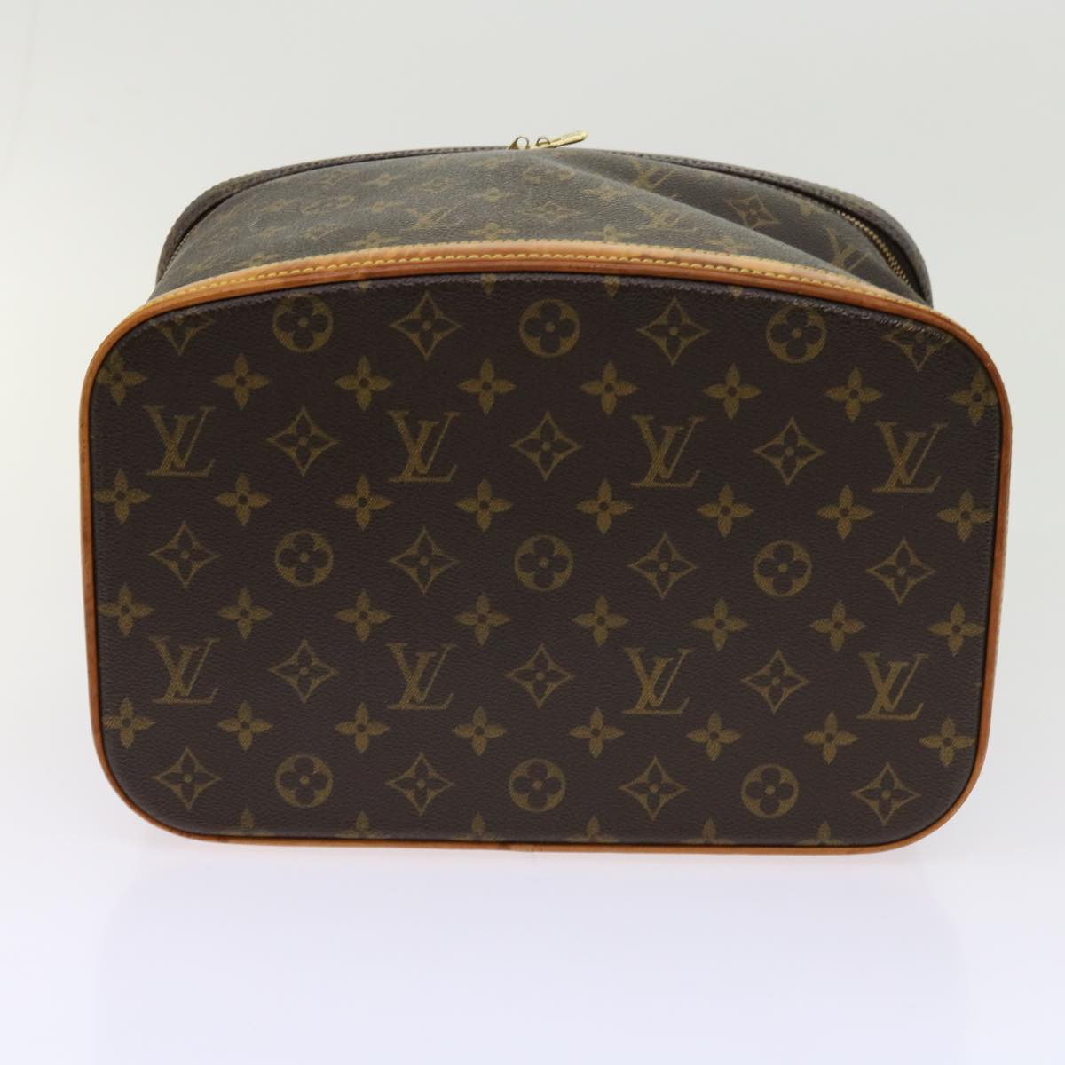 Louis Vuitton Vanity Handbag