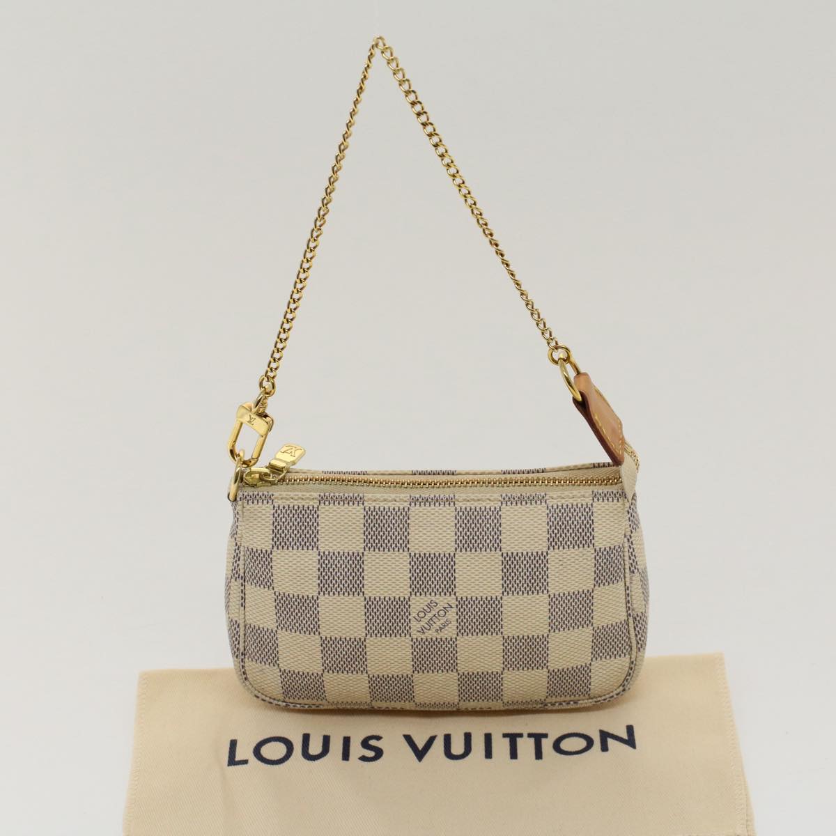 Louis Vuitton Pochette accessoires Handbag