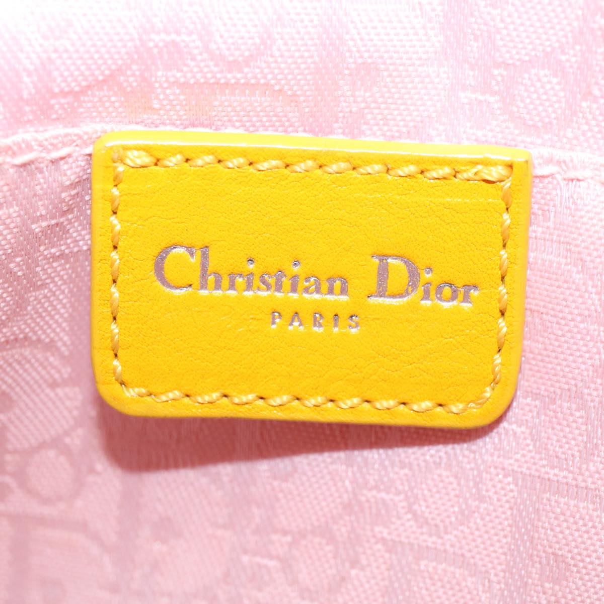 Dior Trotter Clutch