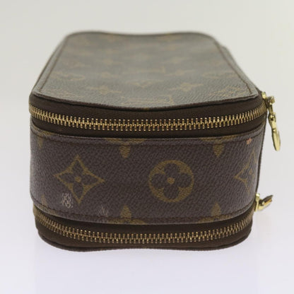 Louis Vuitton Cosmetic pouch Clutch