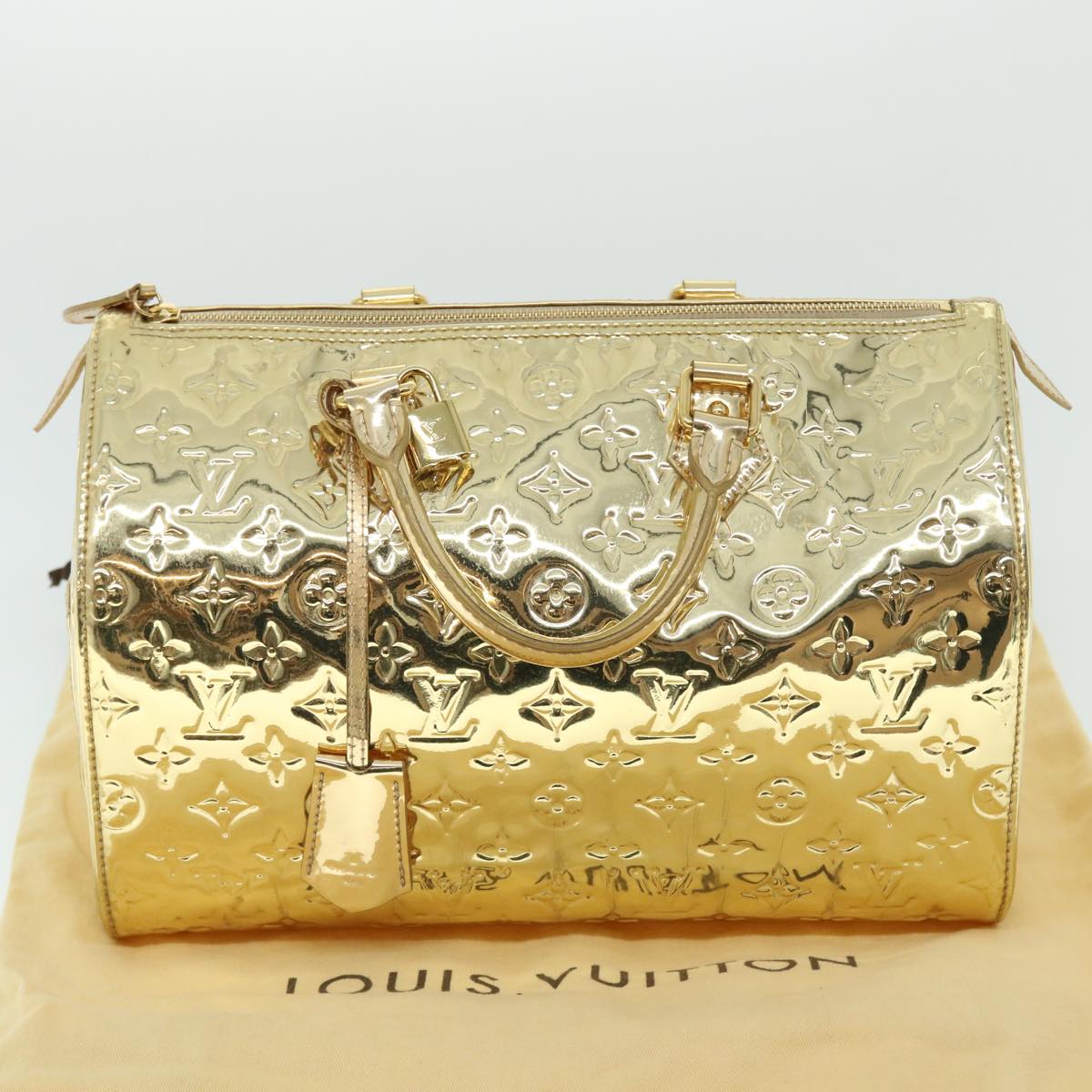 Louis Vuitton Speedy Handbag