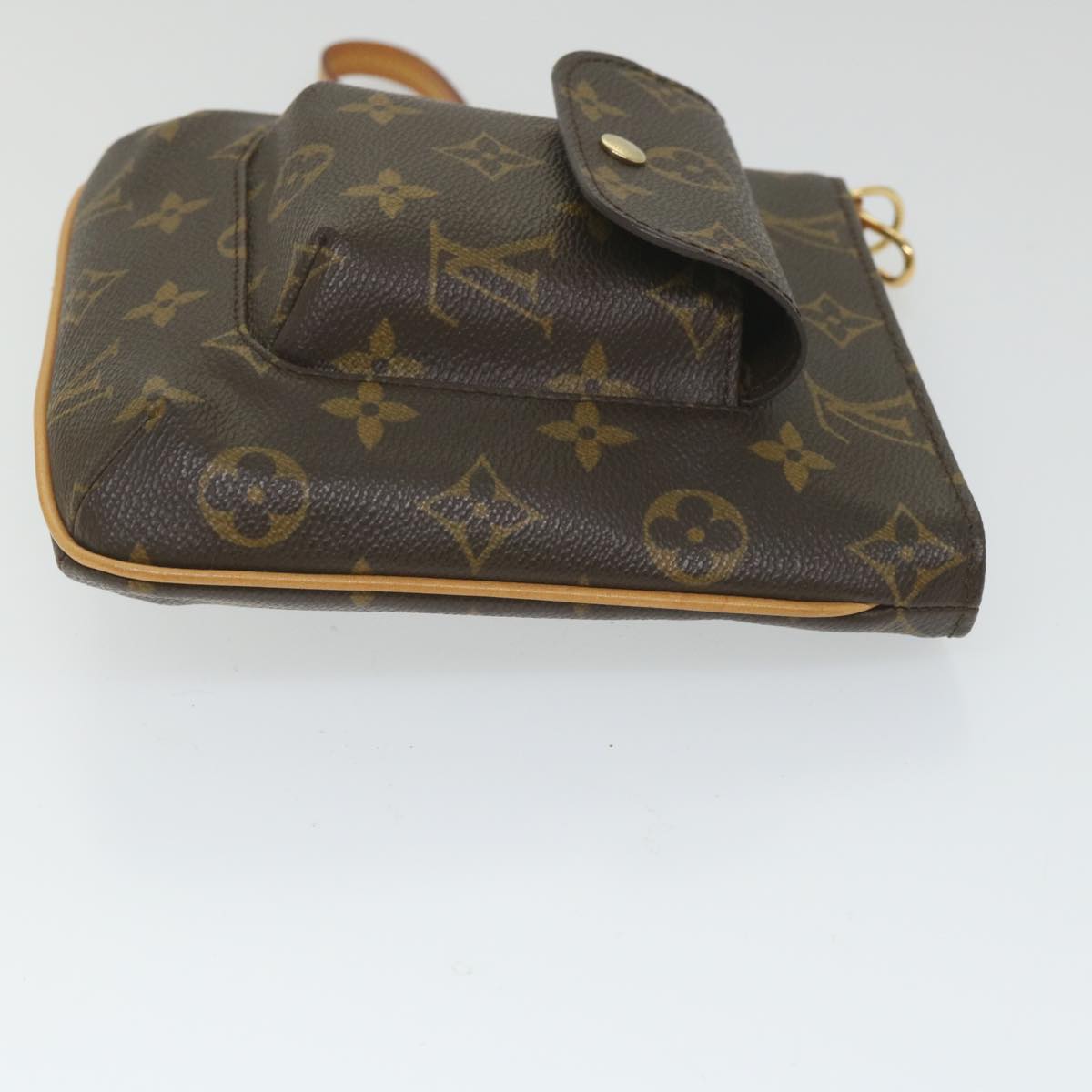 Louis Vuitton Partition Clutch