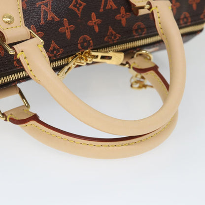 Louis Vuitton Speedy Bandoulière 30 Handbag