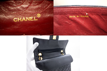 Chanel Timeless Shoulder Bag