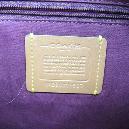 Coach Signature Shoulder Bag