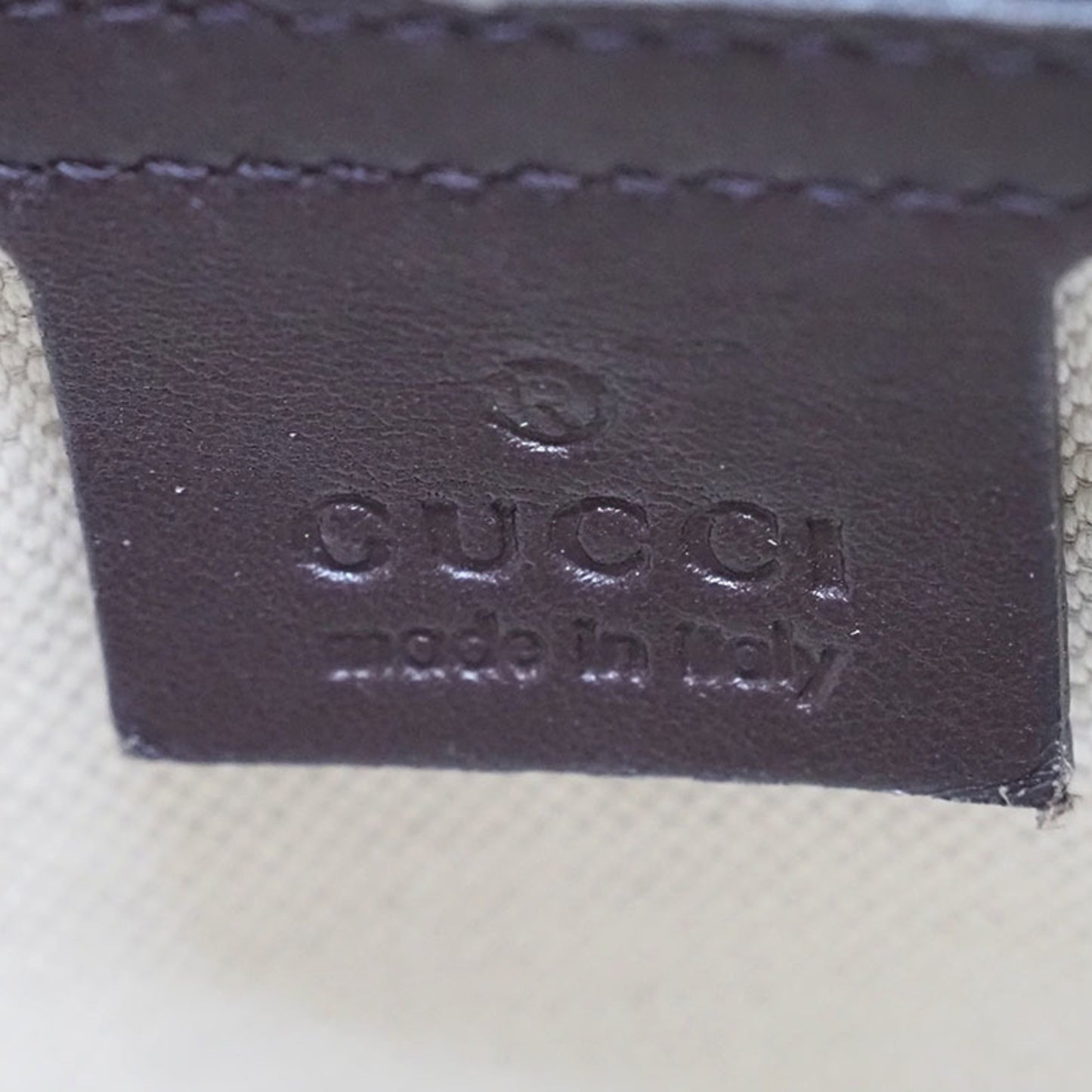 Gucci GG canvas Handbag