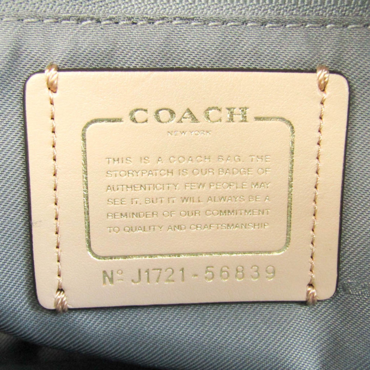 Coach Brooklyn Carryall Shoulder Bag