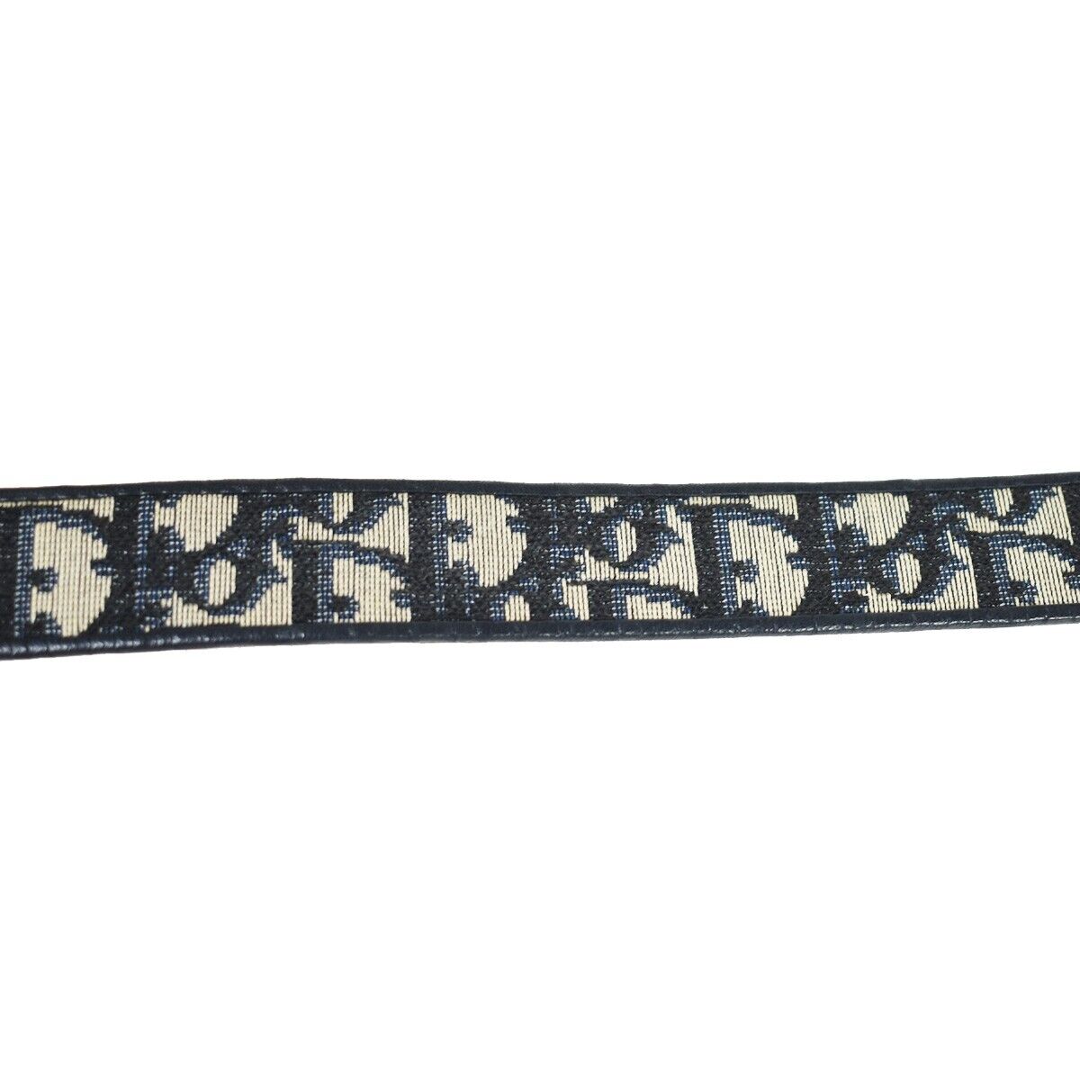 Dior Trotter Belt