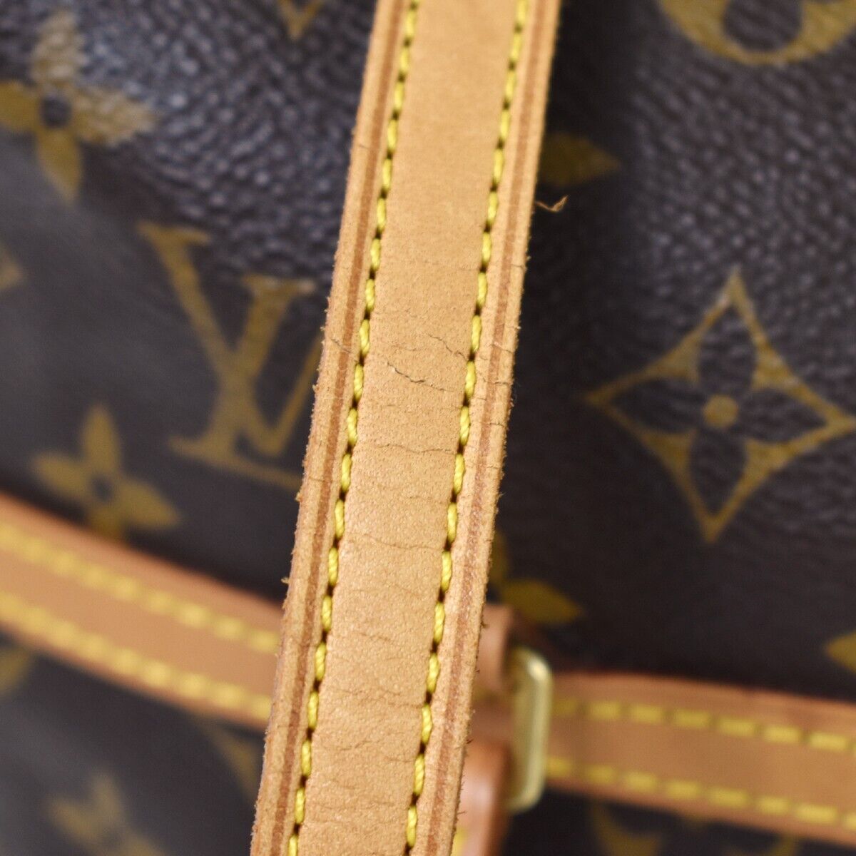 Louis Vuitton Coussin Shoulder Bag