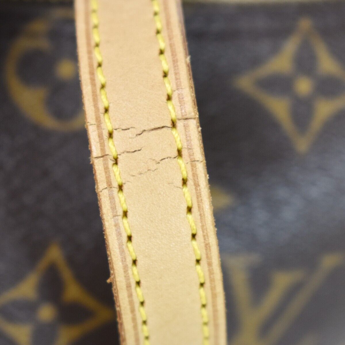 Louis Vuitton Coussin Shoulder Bag