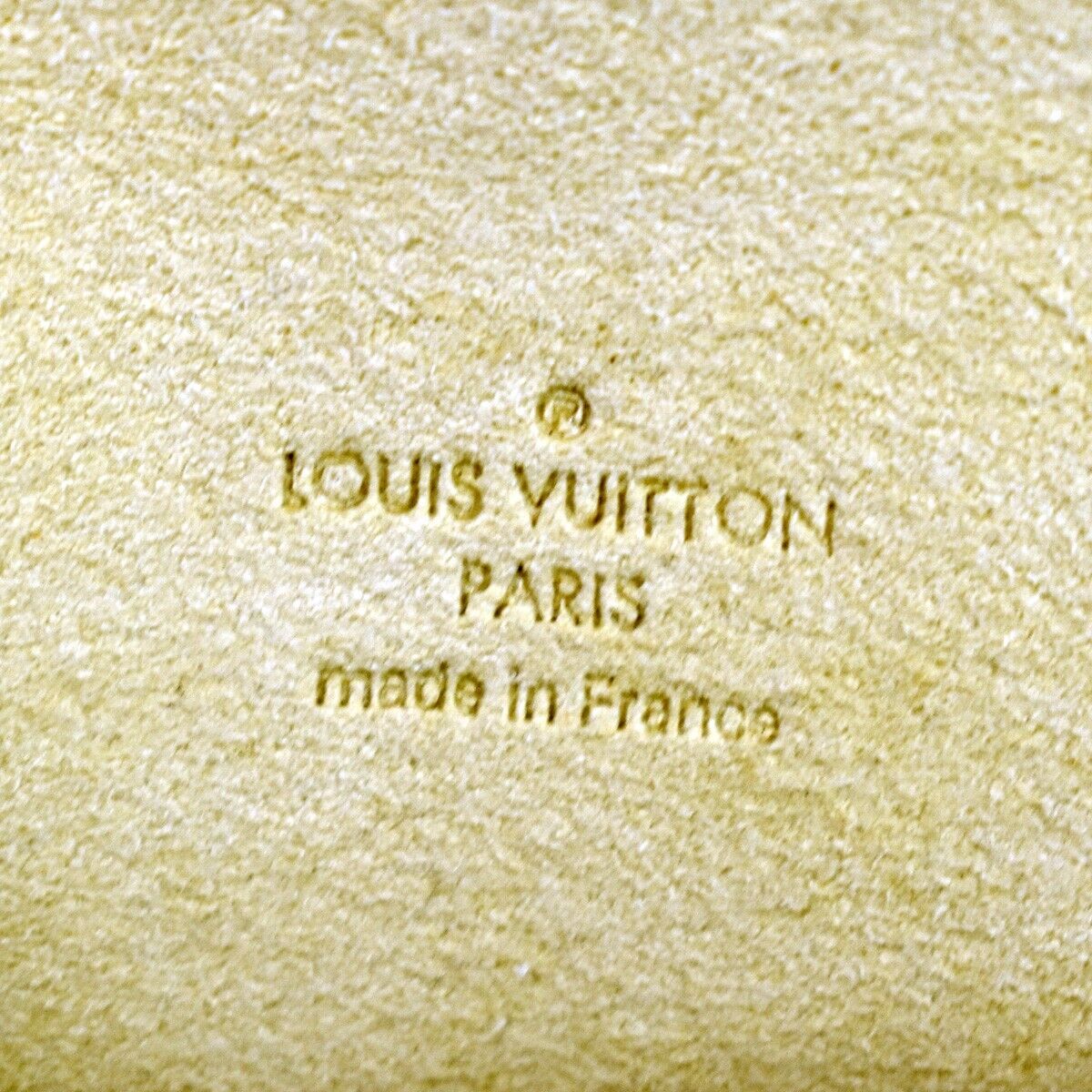 Louis Vuitton Pochette florentine Shoulder Bag