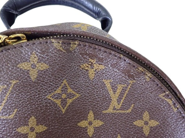 Louis Vuitton Palm Springs Backpack